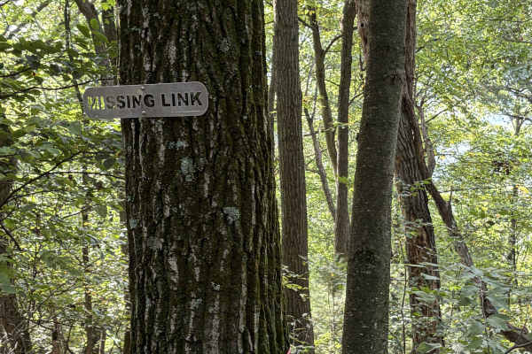 Missing Link (Down Hill Only)