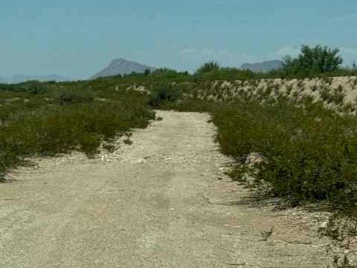 SS1169 photo 4