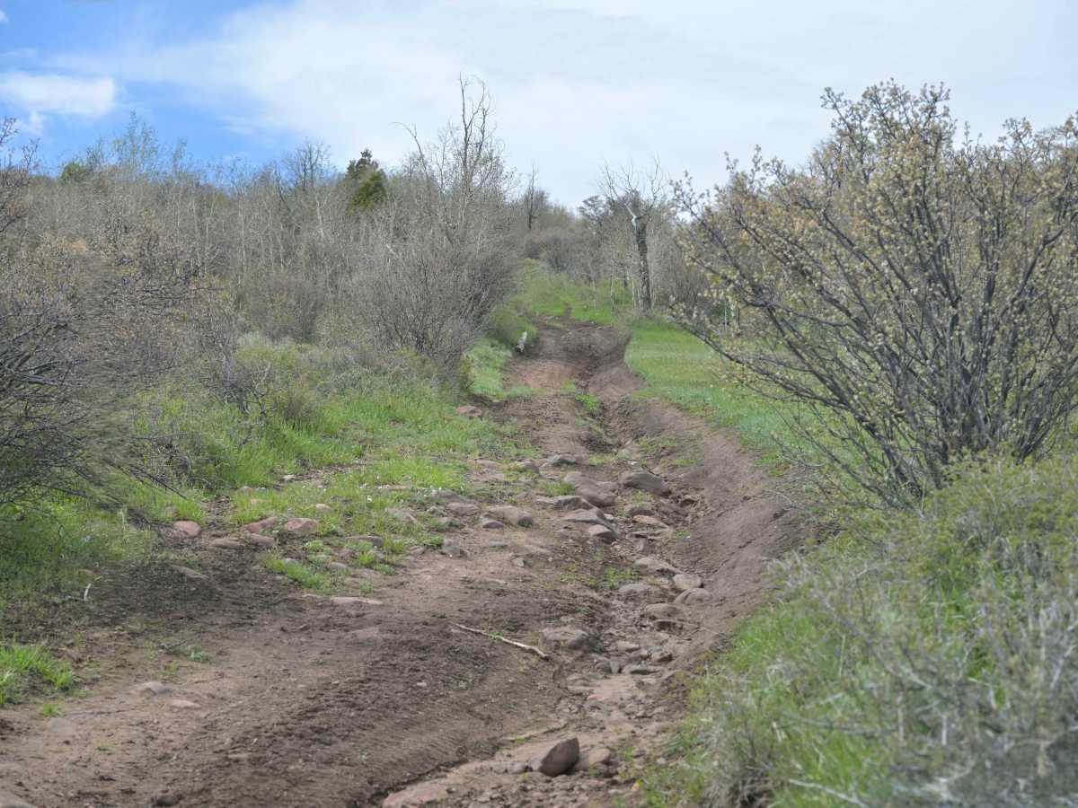 Marvin Spring Loop - FS 10053 trail photo