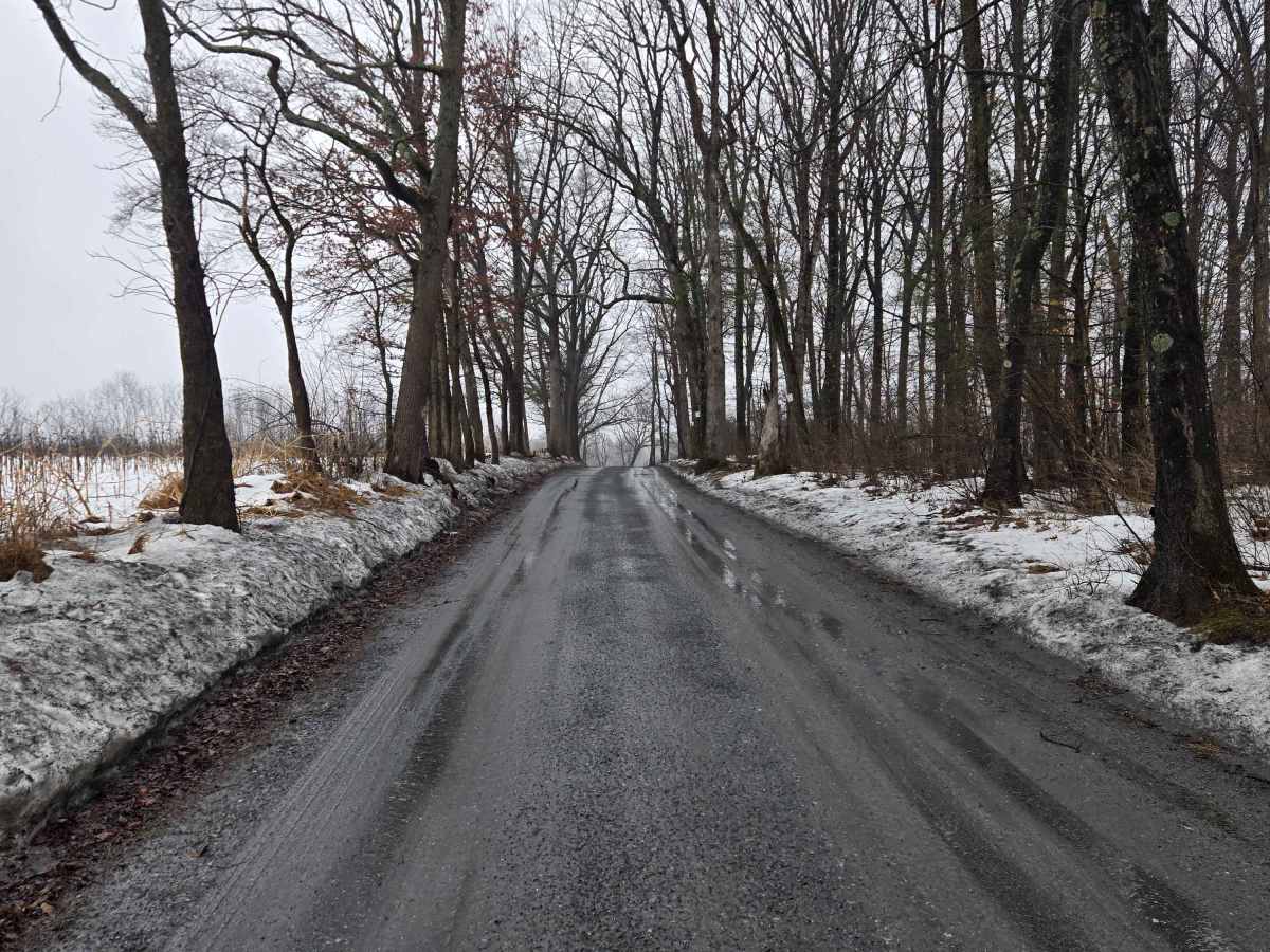 Game Preserve Road photo 5