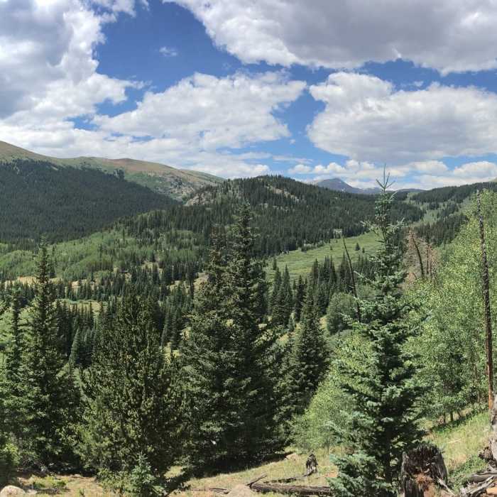 Near Abyss Lake Trail #602