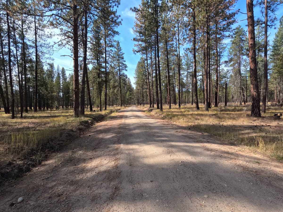 Blacktail Mountain Road photo 4