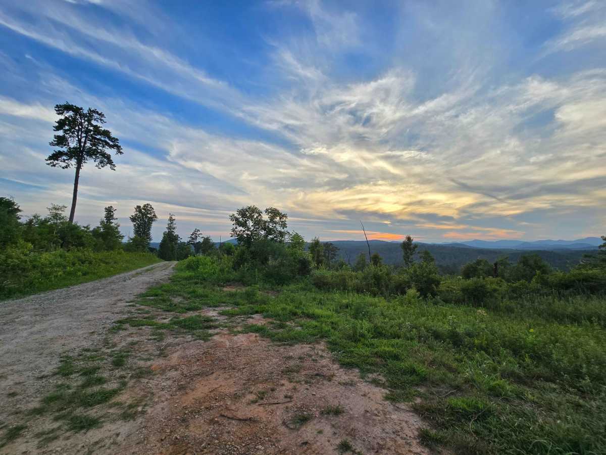 Chambers Branch - FS 736 trail photo
