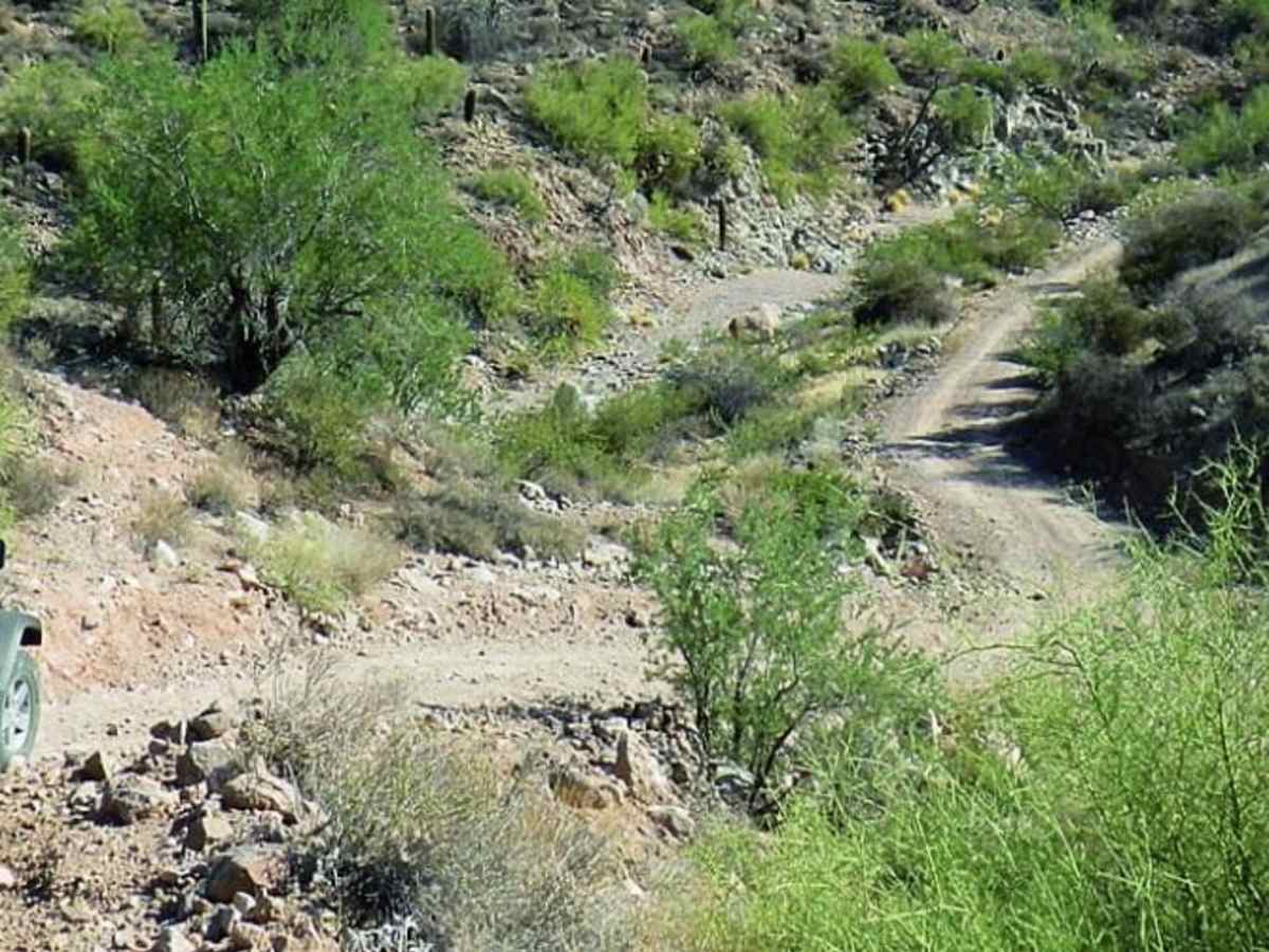 Bulldog Canyon trail photo