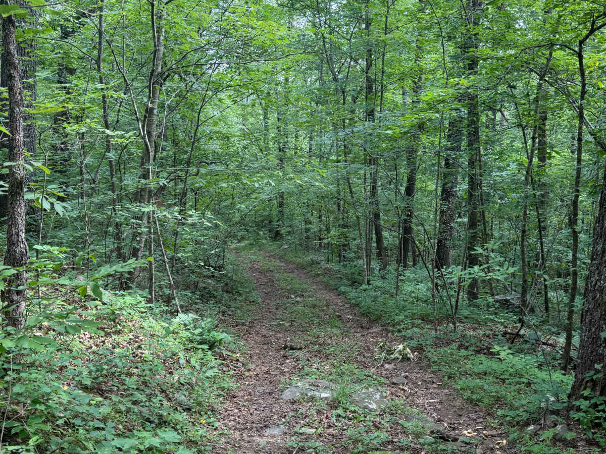 Sleepers trail photo
