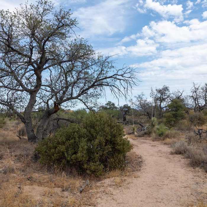 Near Windy Ridge Trail