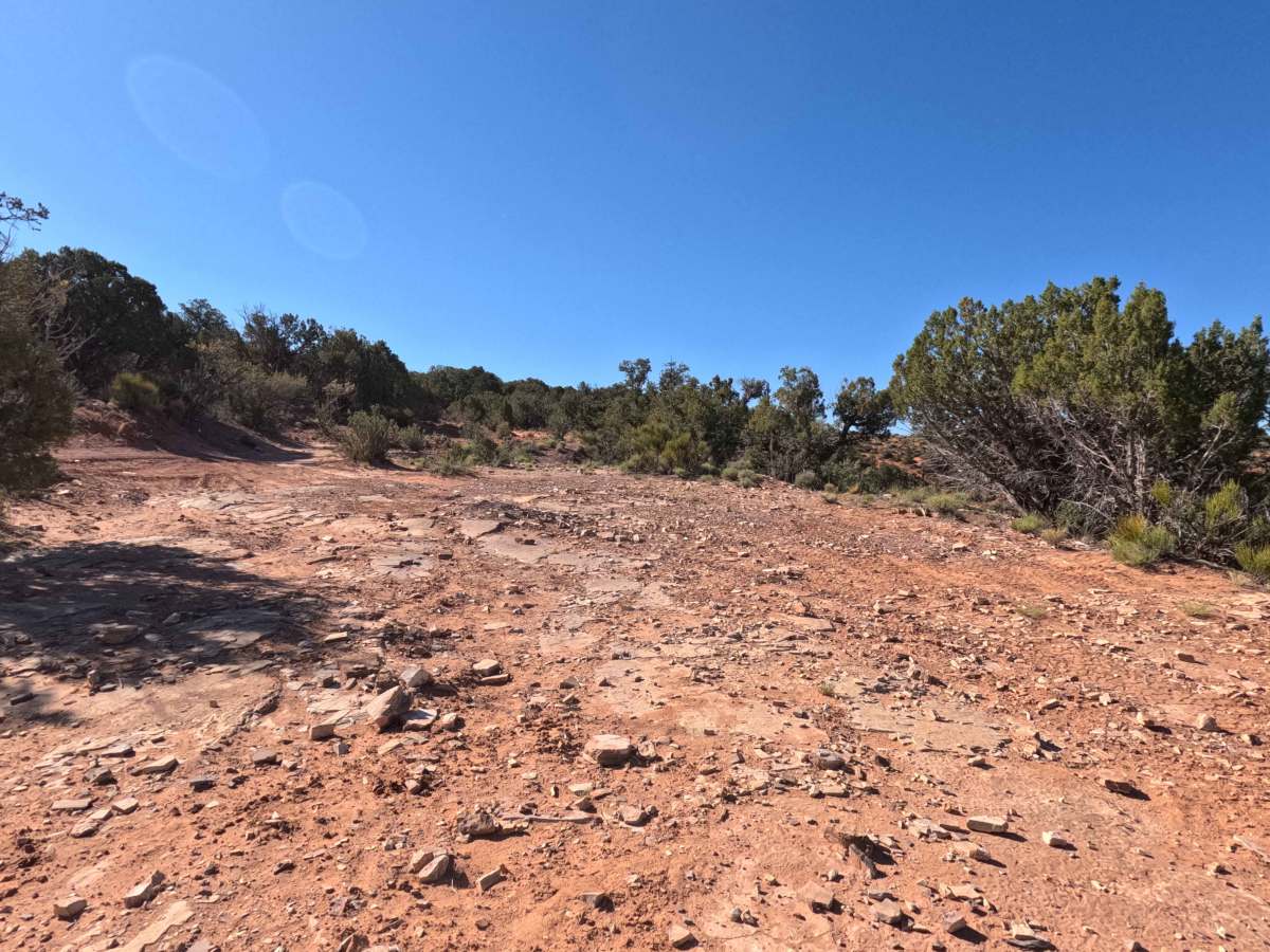 BLM HC2 Spur photo 5