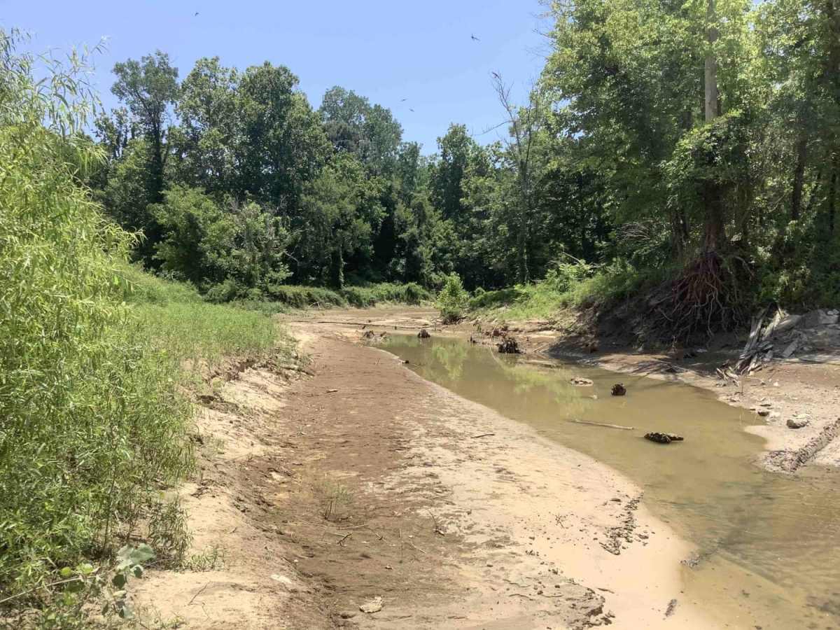 Cat Island River Trail photo 3