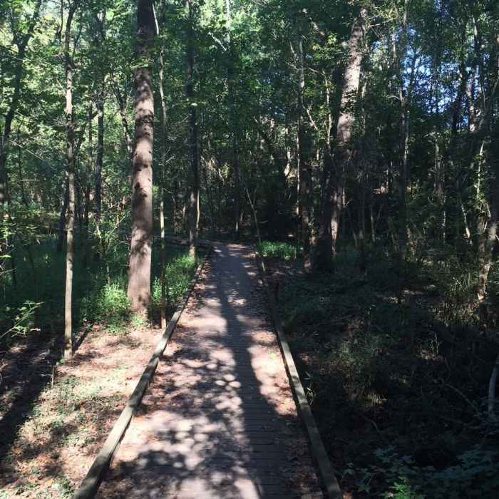 One of the boardwalk sections has a peaceful river to the left. Near The Big Lefty