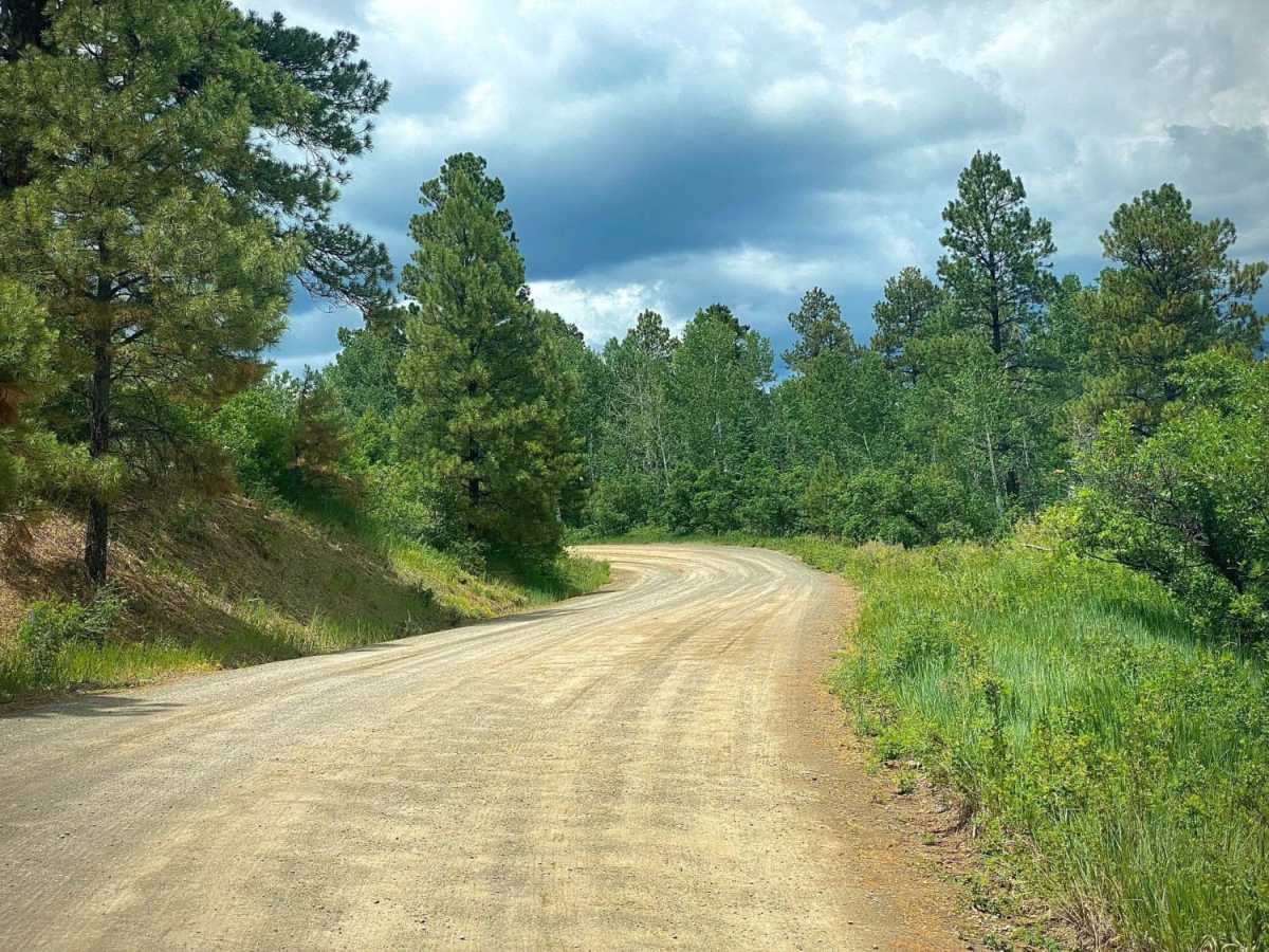 Four Mile Falls & Lake Trails-Fr Rd 645 trail photo