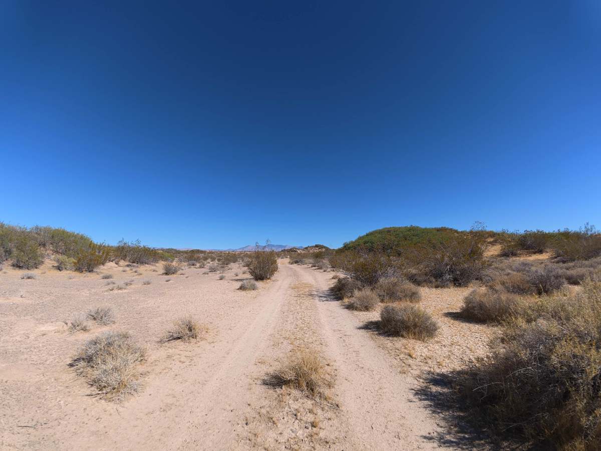 Cali to Sandy Valley photo 6