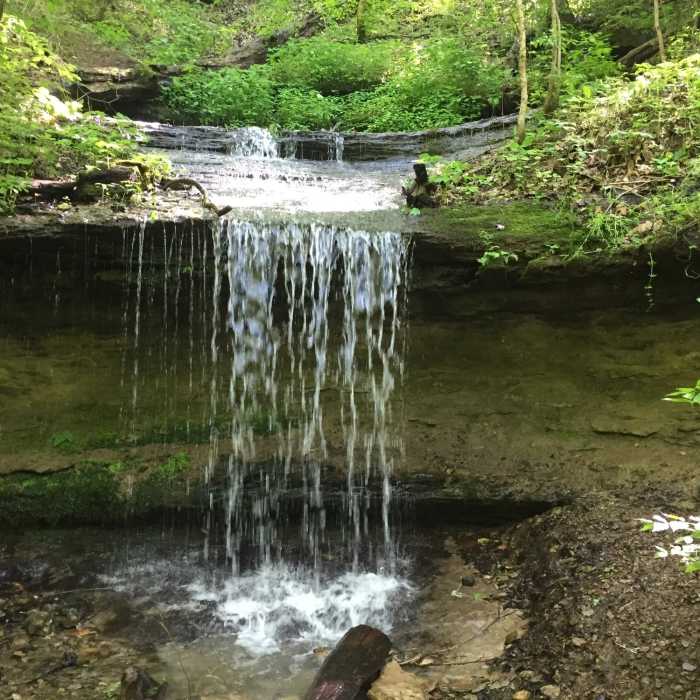 Near Mossy Ridge Trail (Red)