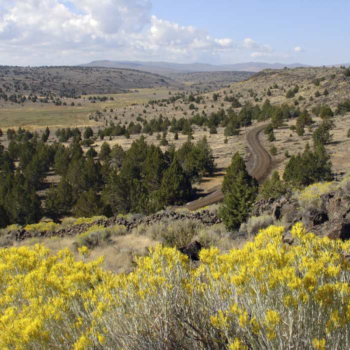 Near Modoc Line Rail Trail - Snowstorm Canyon Segment