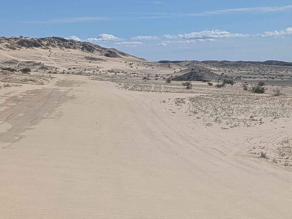 BLM 197 photo 3