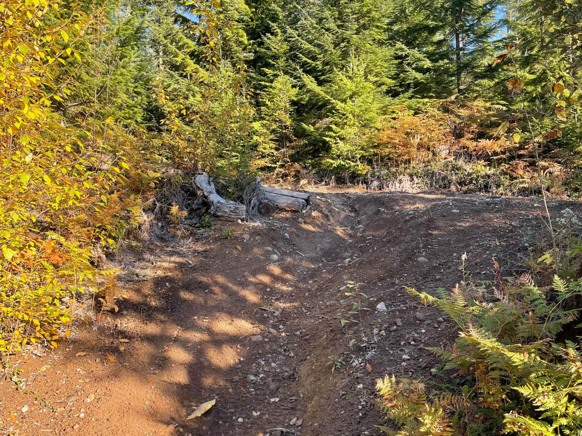 Deep Woods photo 5