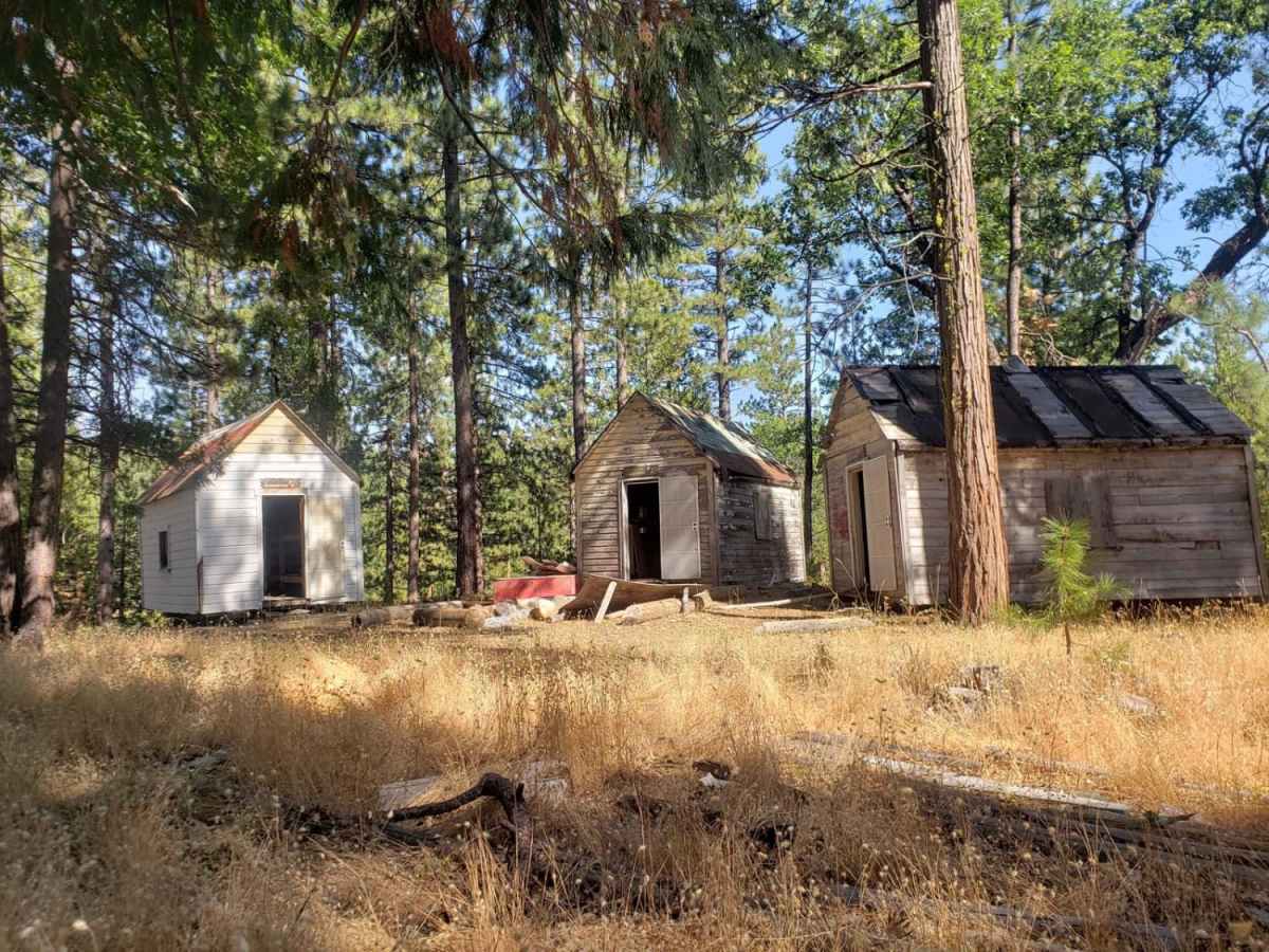 Soda Creek Logging Camp photo 3