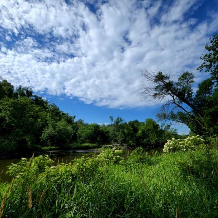 Near Cannon River Wilderness Trail (West)