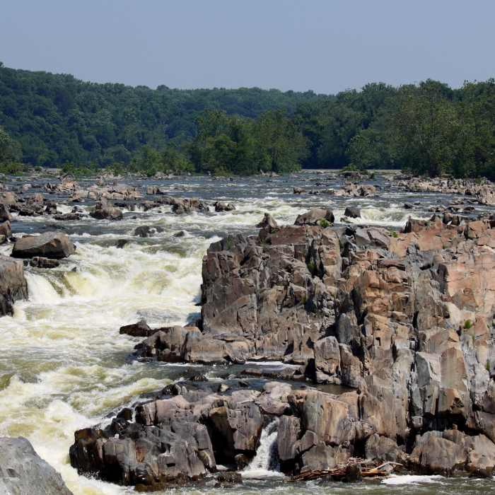 Near Chesapeake and Ohio Canal Loop