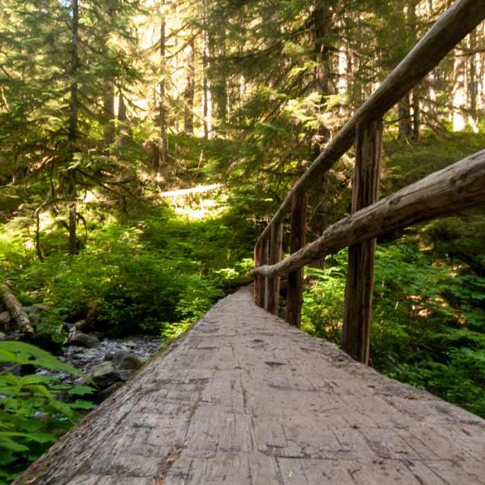 Near Larch Mountain Trail