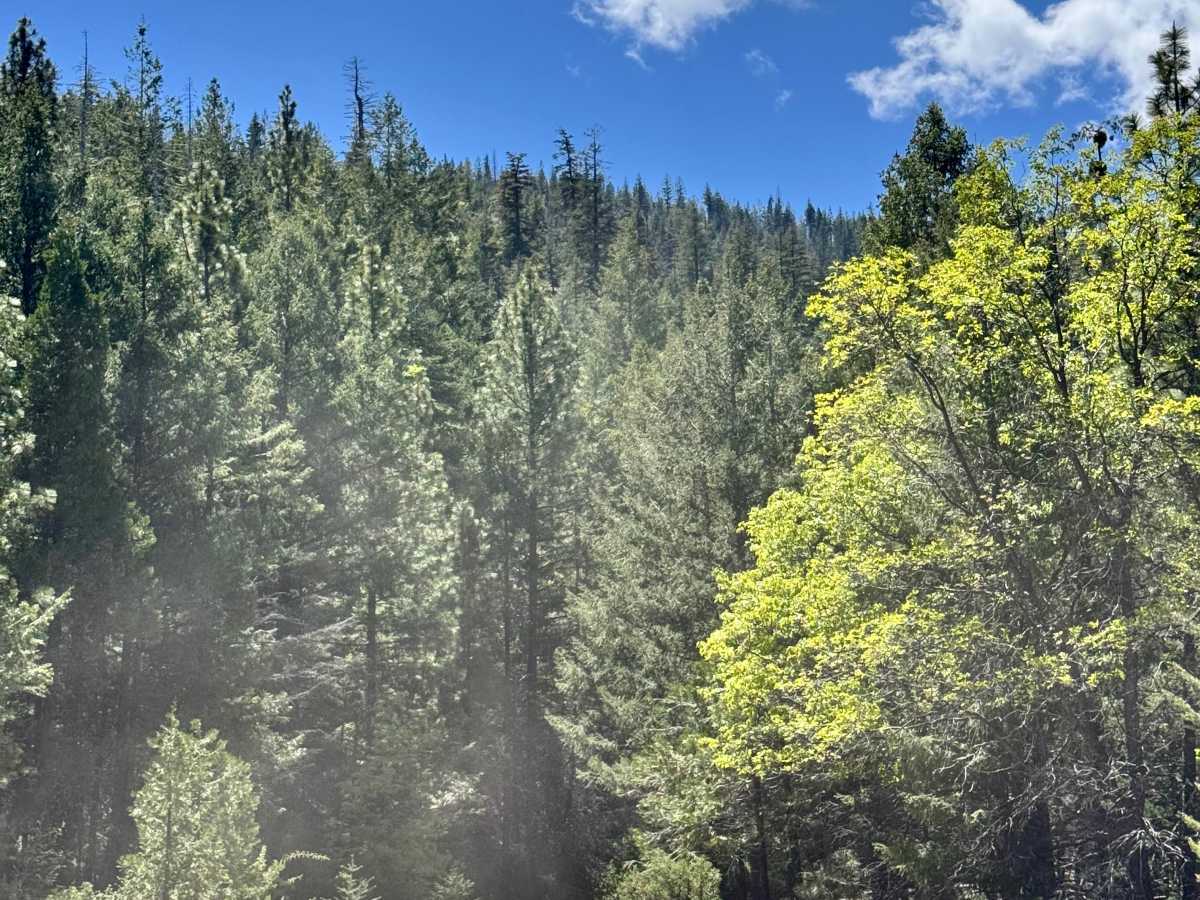 Lower Middle Ridge - FS 21N07 photo 2