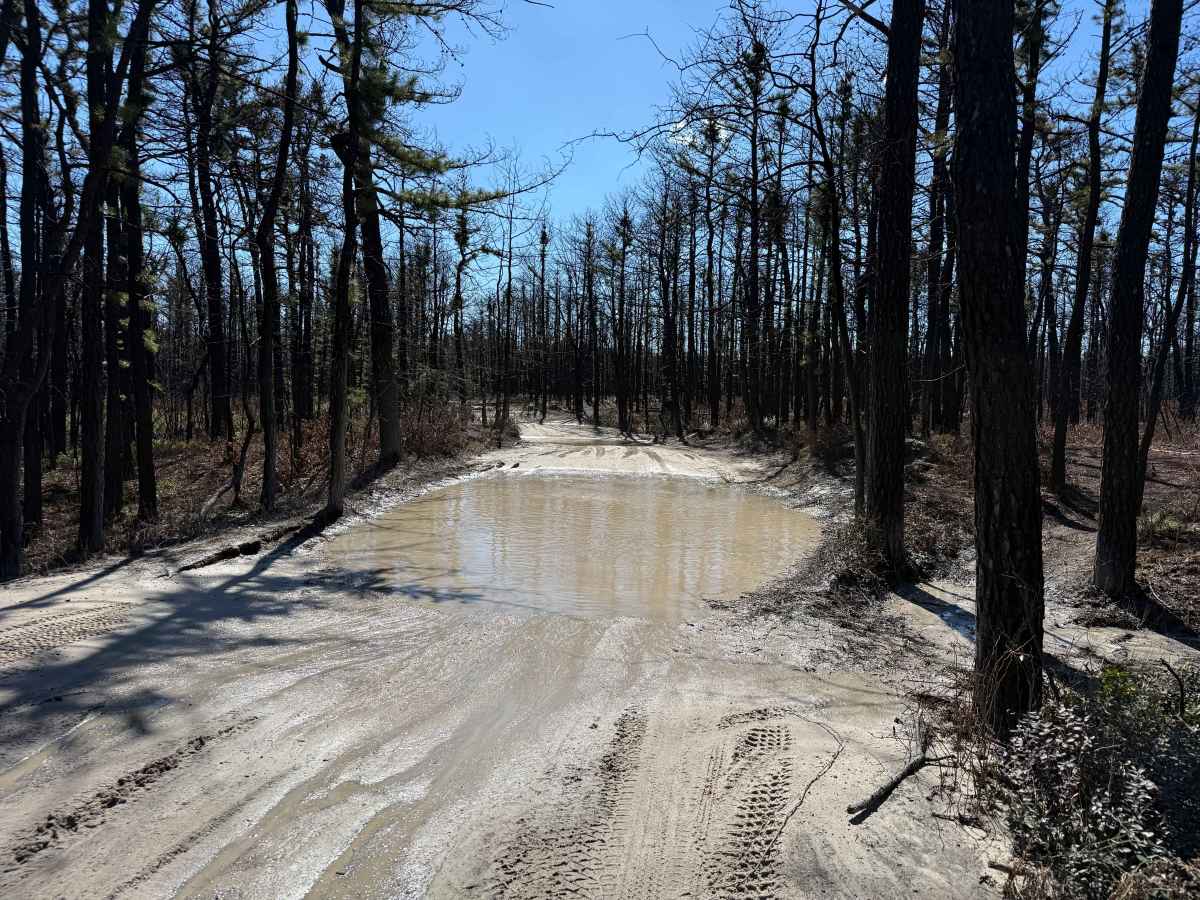 Tuckertown Railroad Extension trail photo