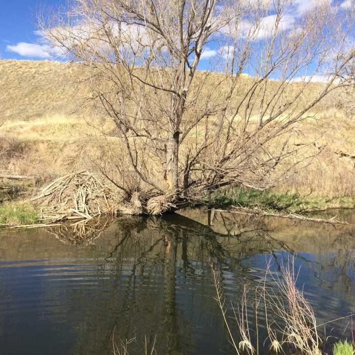 Near Sand Creek Tour
