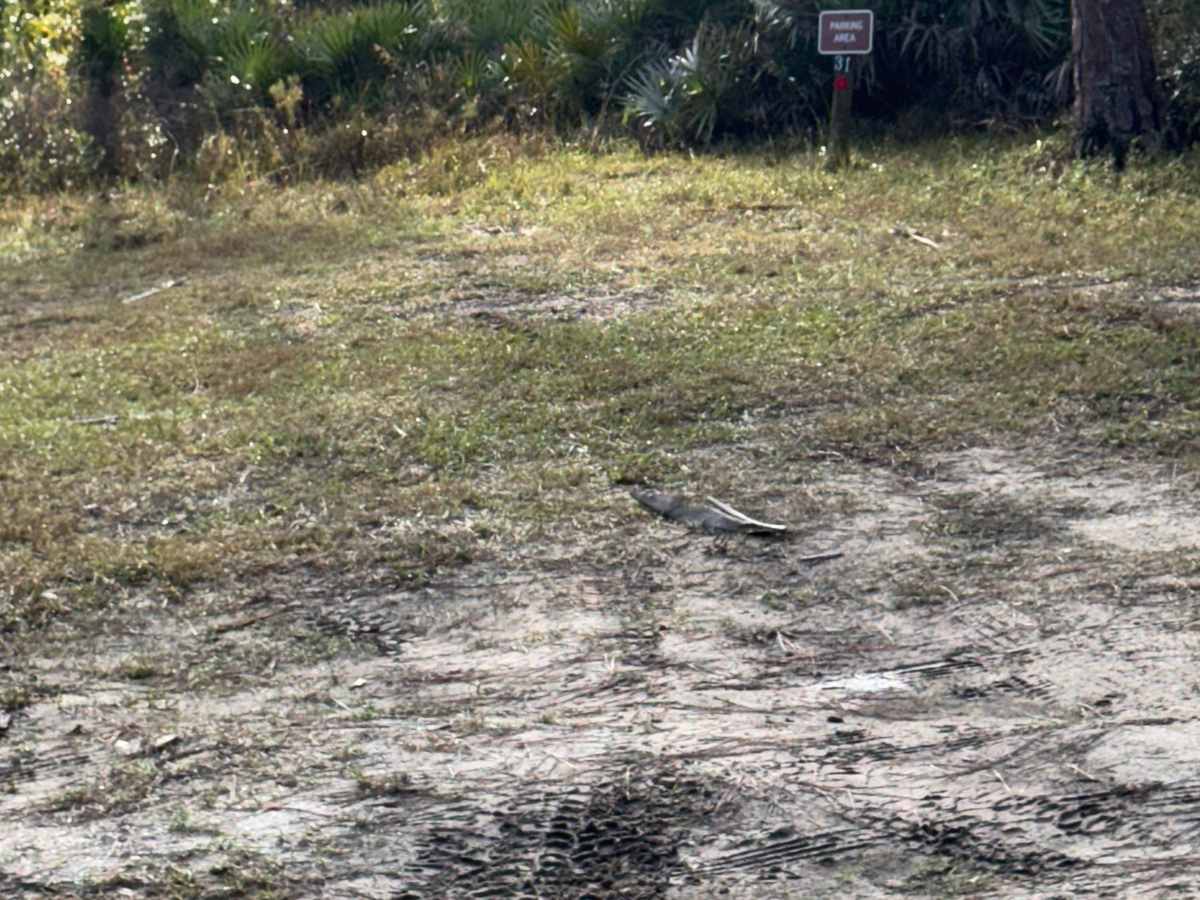 Fish Hole Road photo 2