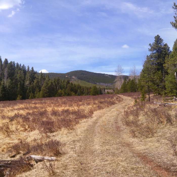 Cub Creek Trail to Staunton Park connection. Looking north two miles up from Staunton Park link. Near North Elk Creek Trail #764