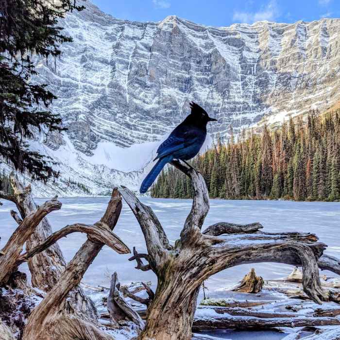 Near Rawson Lake