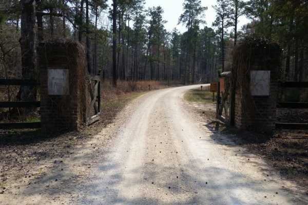 Swamp Fox 1