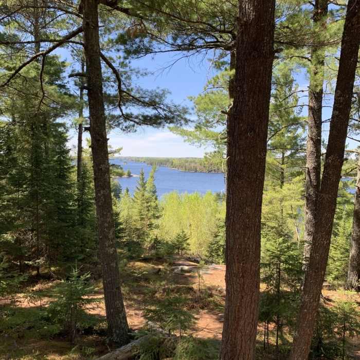 Near Blind Ash Bay Trail