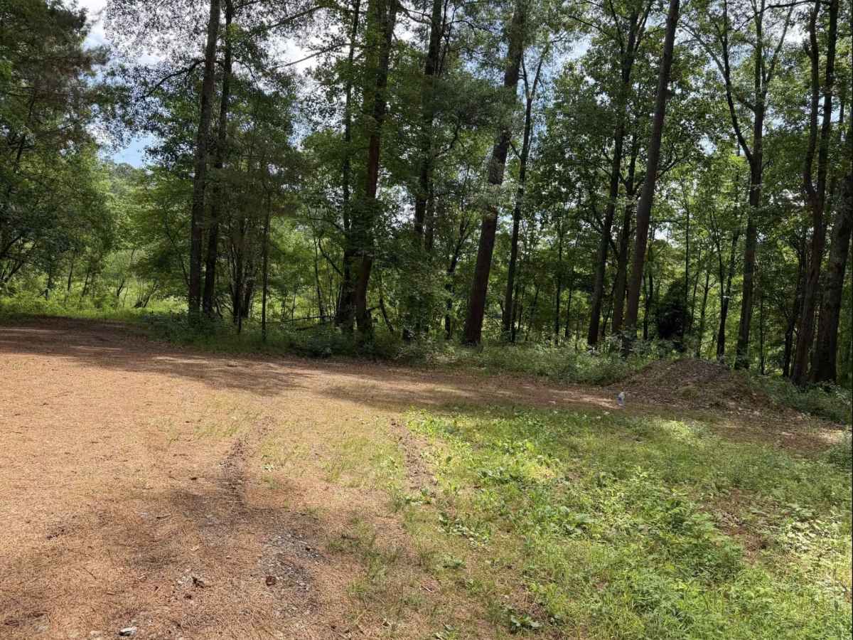 Beaver Pond Road photo 4