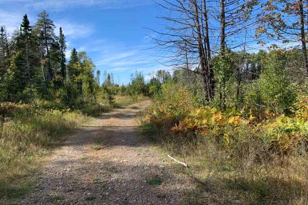 Dumbbell River Spur H Trail - FS 174H