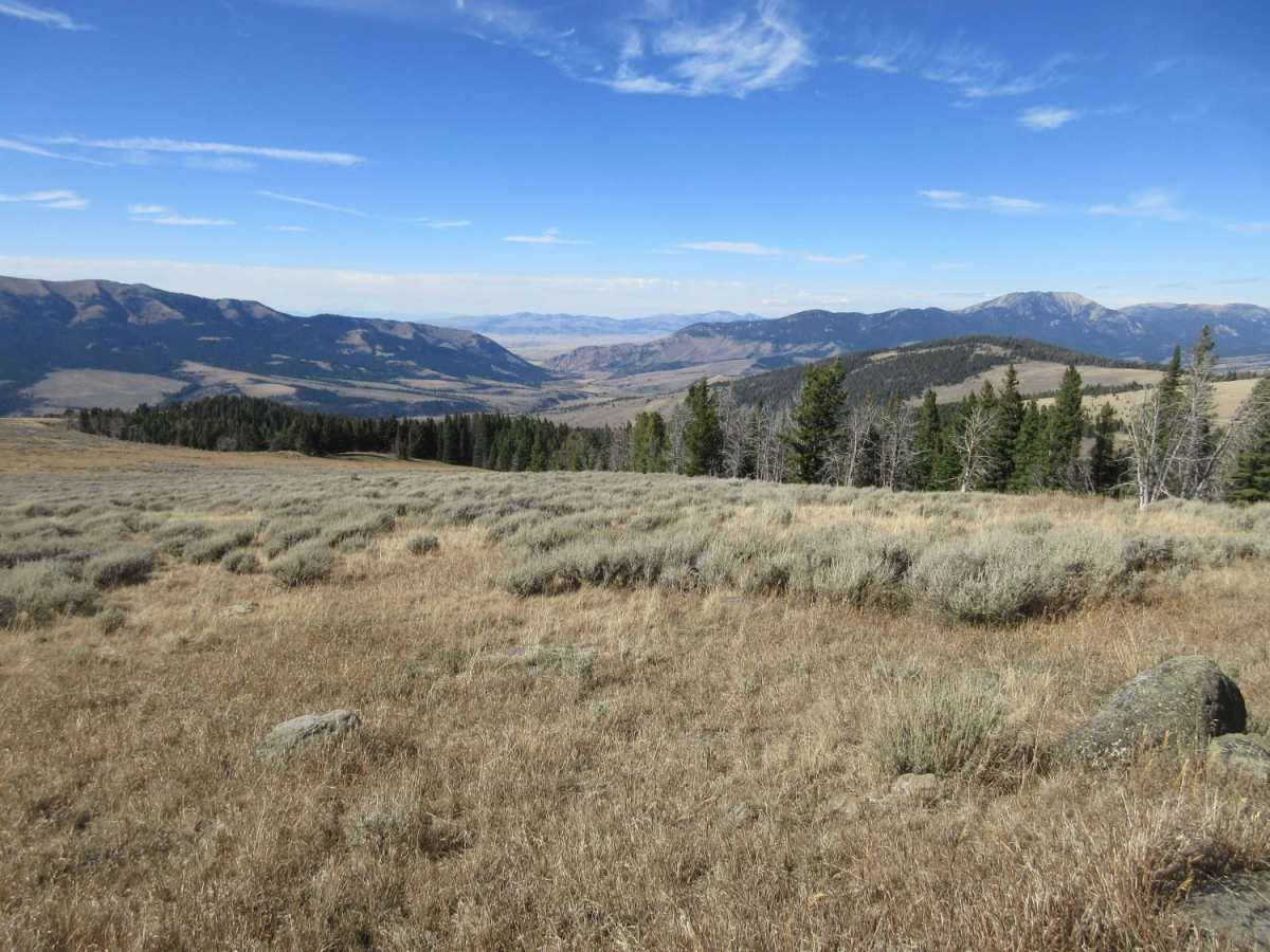 Cottonwood Creek - FS8337 photo 2