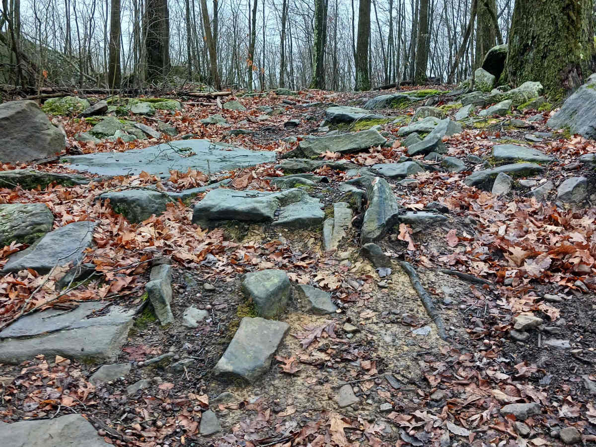 OHV 29 - Rock Run Recreation Area trail photo