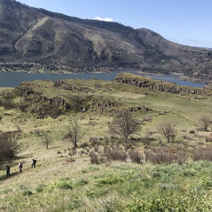 Near Lyle Cherry Orchard Trail