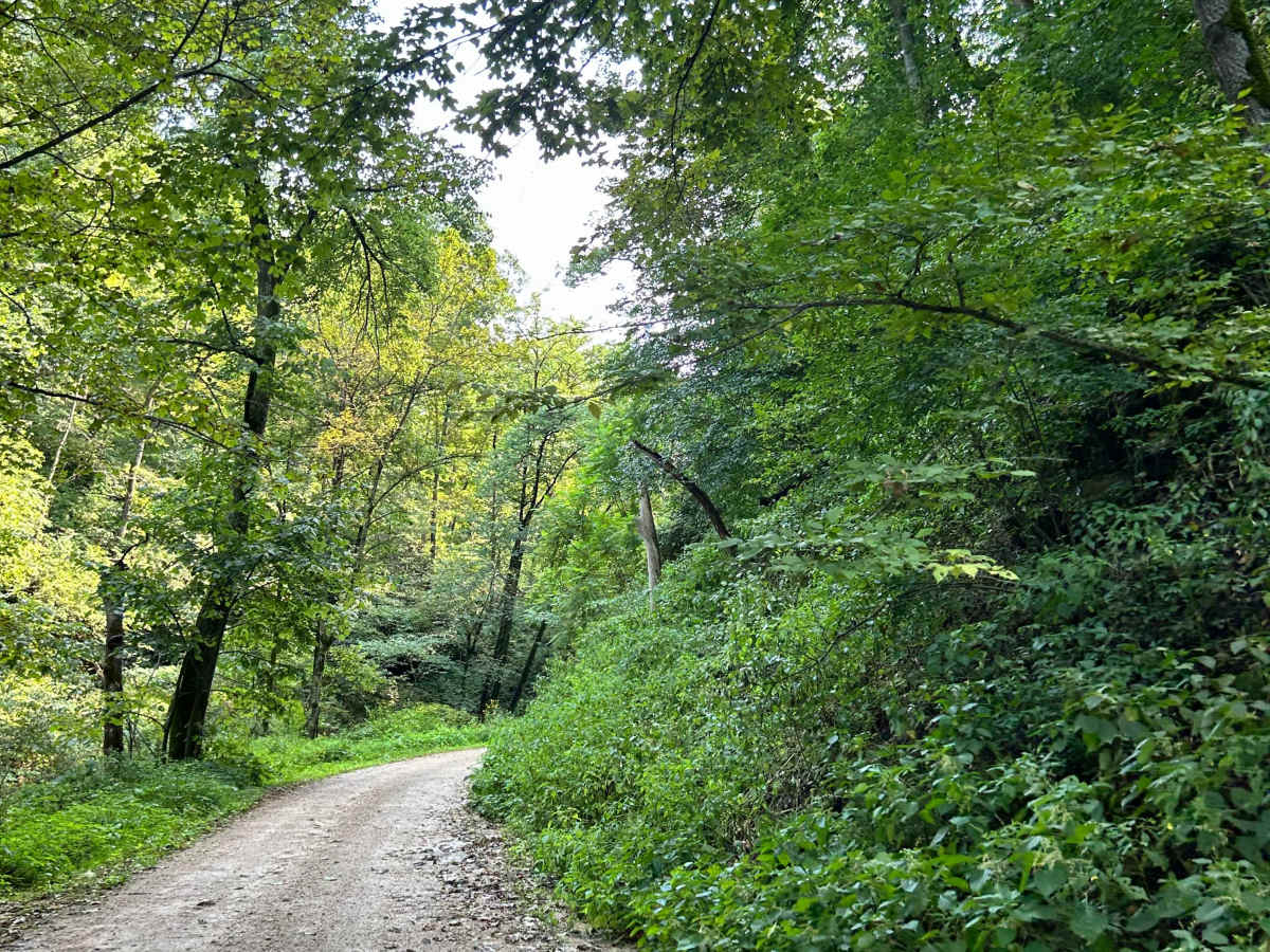 Fortune Road photo 4