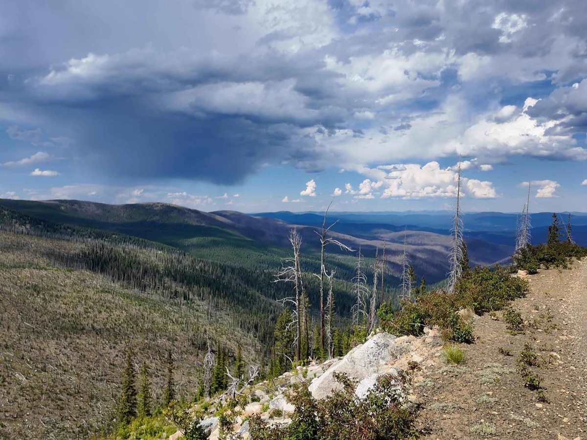 Orogrande Summit trail photo