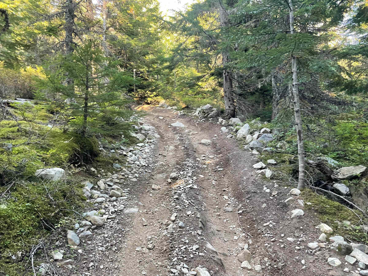 Doubletrack #4 trail photo