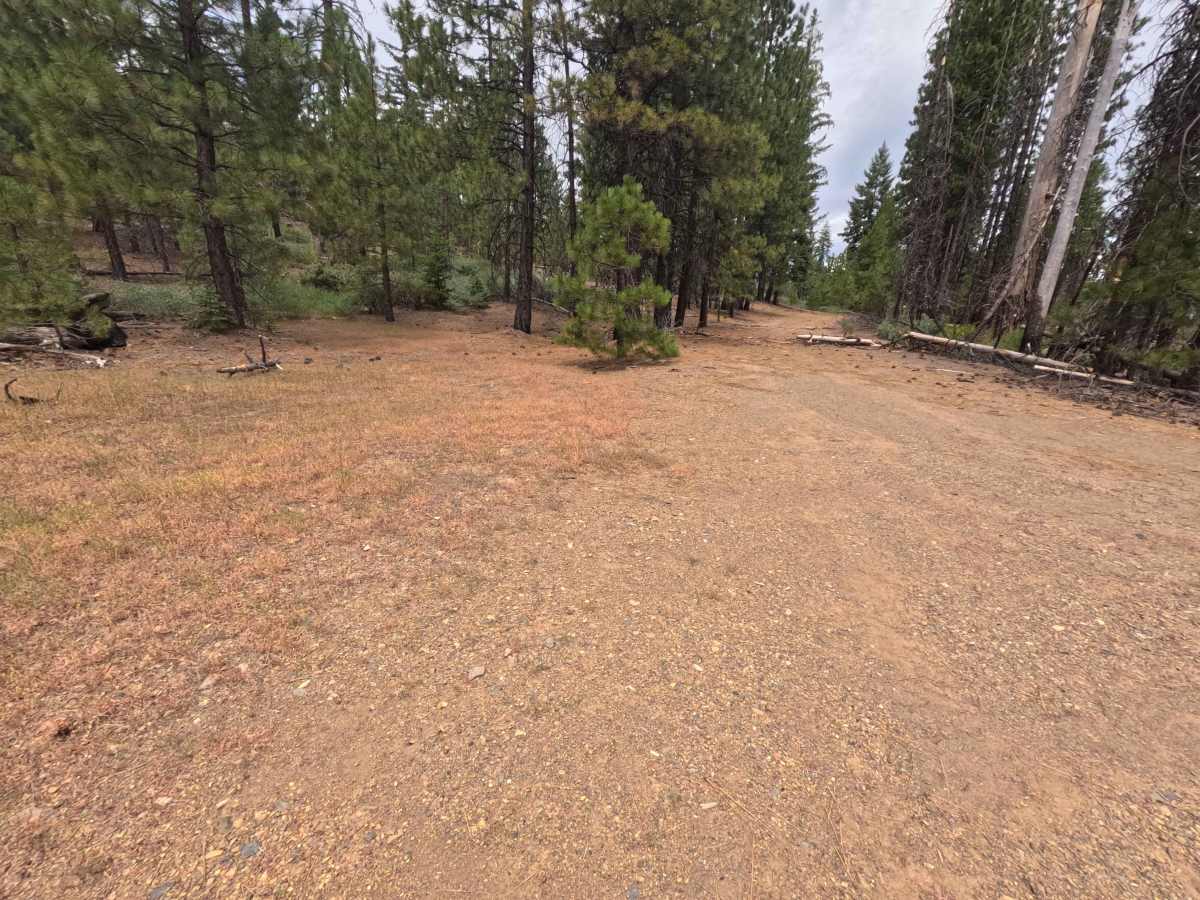 North Bowery Loop - FS 18N28 trail photo