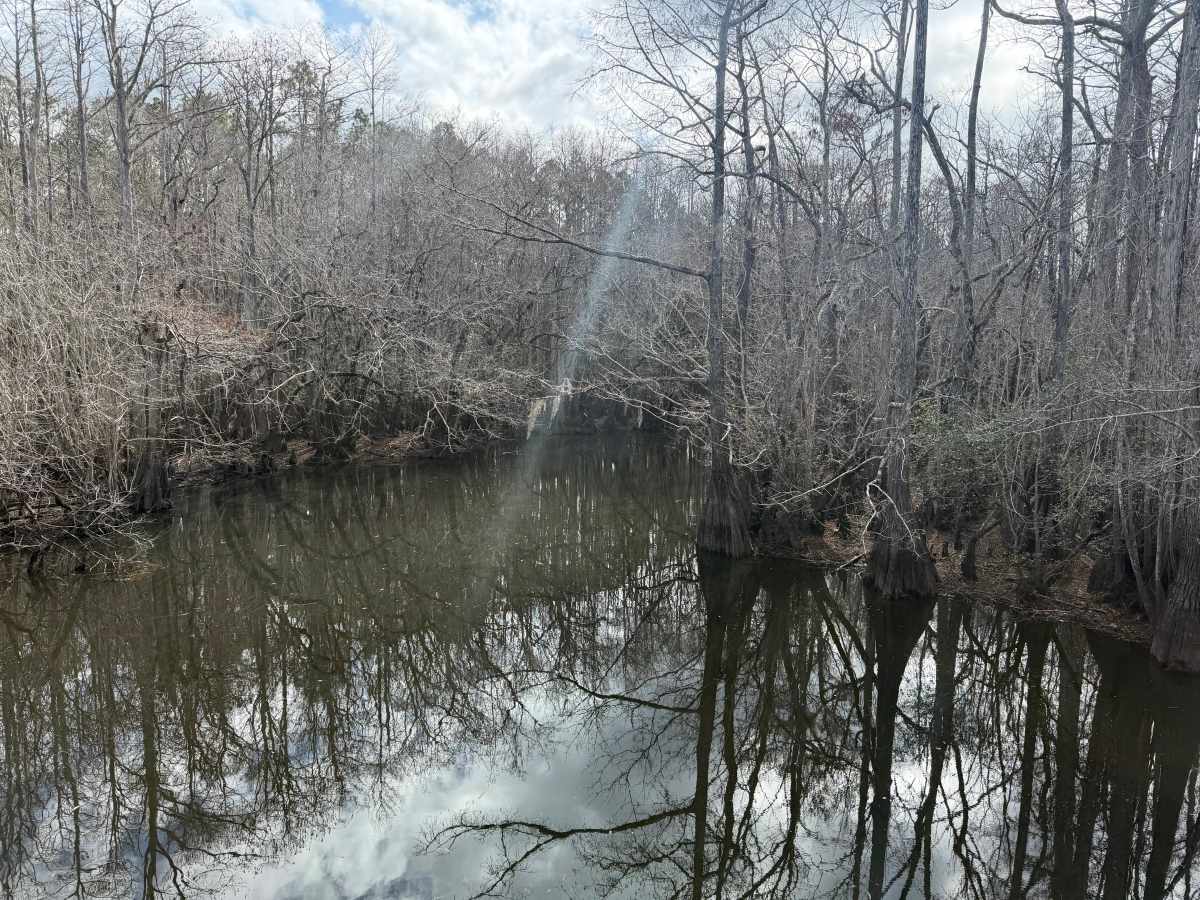 Smith  Creek Landing “Bridge Out” photo 4