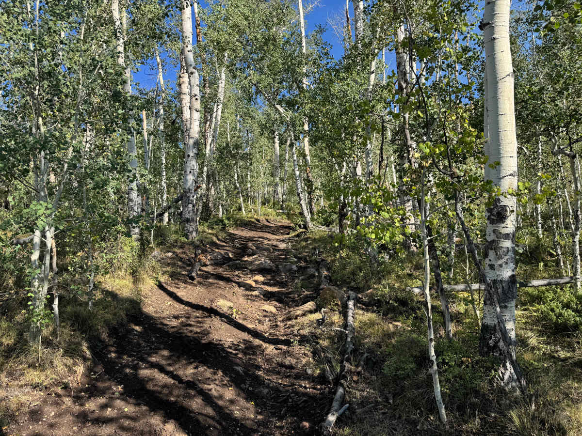 Flick Gulch Road photo 5