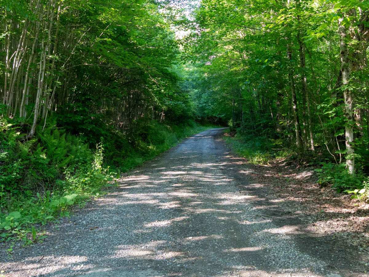 Truck Trail 4 trail photo
