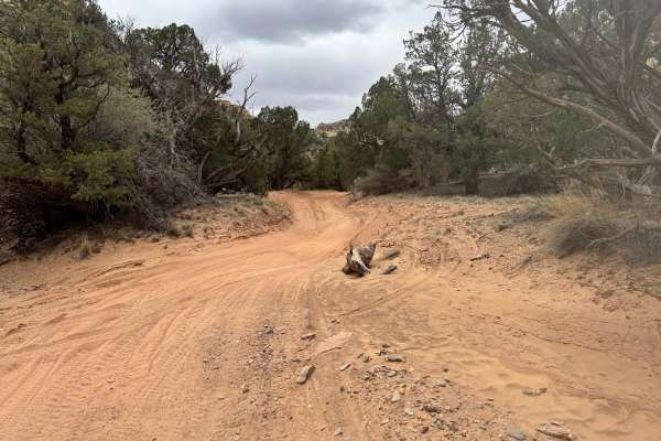Upper Eagle Canyon Trail - BLM 822