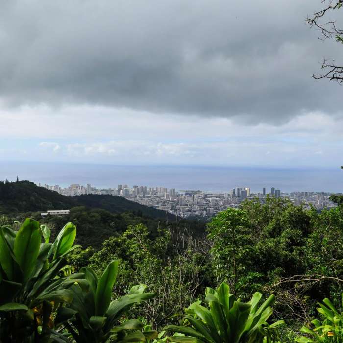 Near Konahuanui Summit / K2 via Pu'u Ohia Near Konahuanui Summit / K2 via Pu'u Ohia