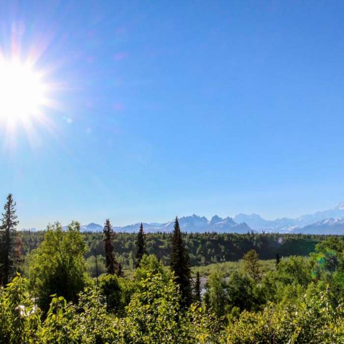 Near Denali Viewpoint South Near Denali Viewpoint South