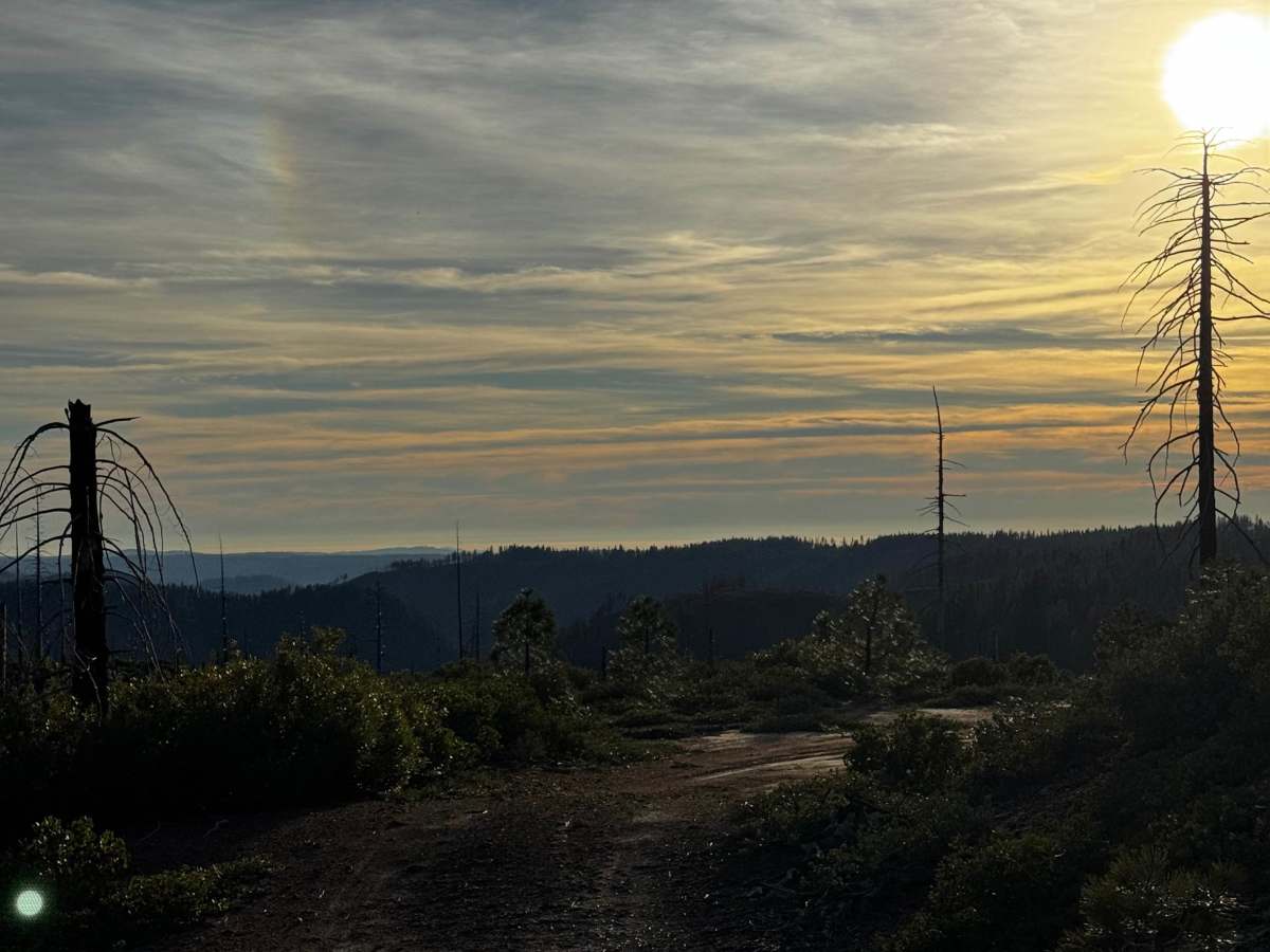 Secret Ridge photo 3