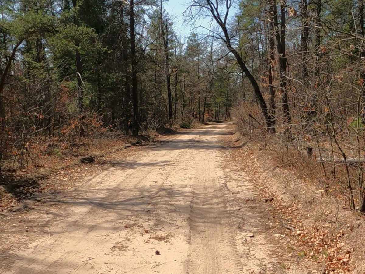 Michaud - FS 3907 trail photo