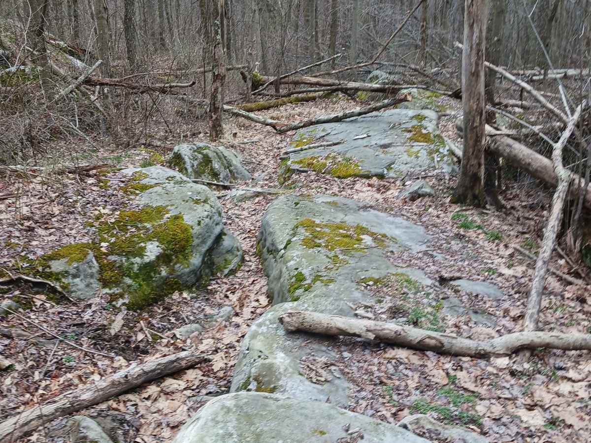 OHV 62 - Rock Run Recreation Area photo 6