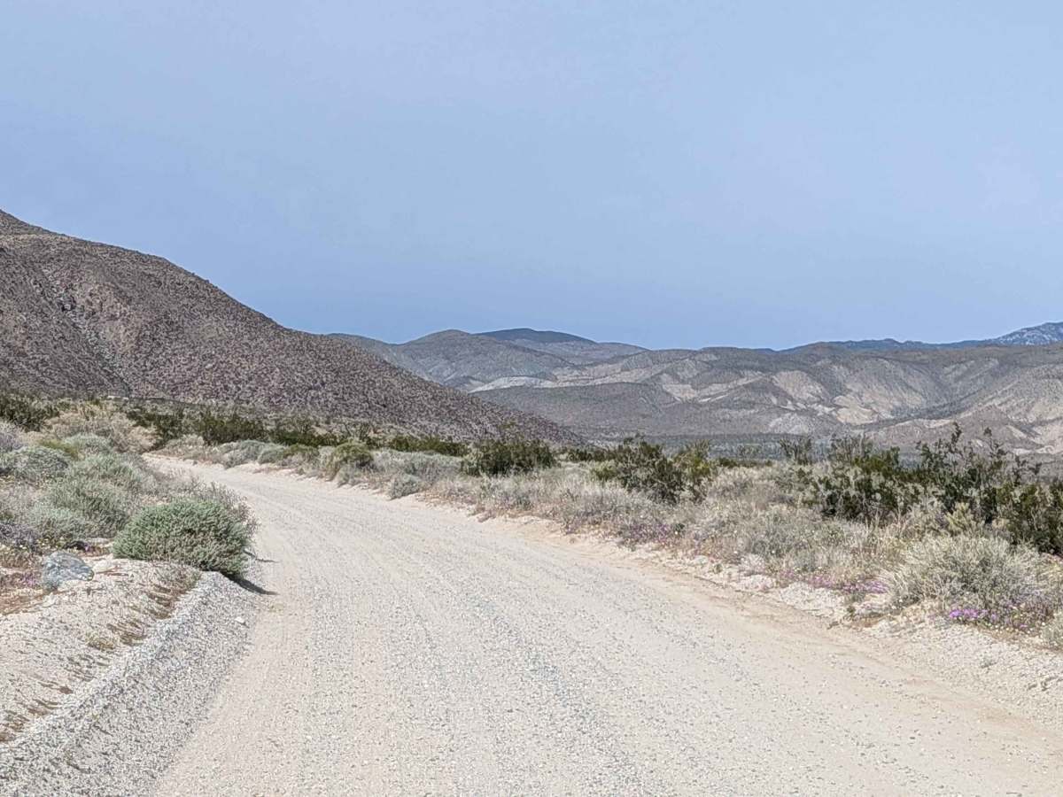 Horse Camp Road photo 4
